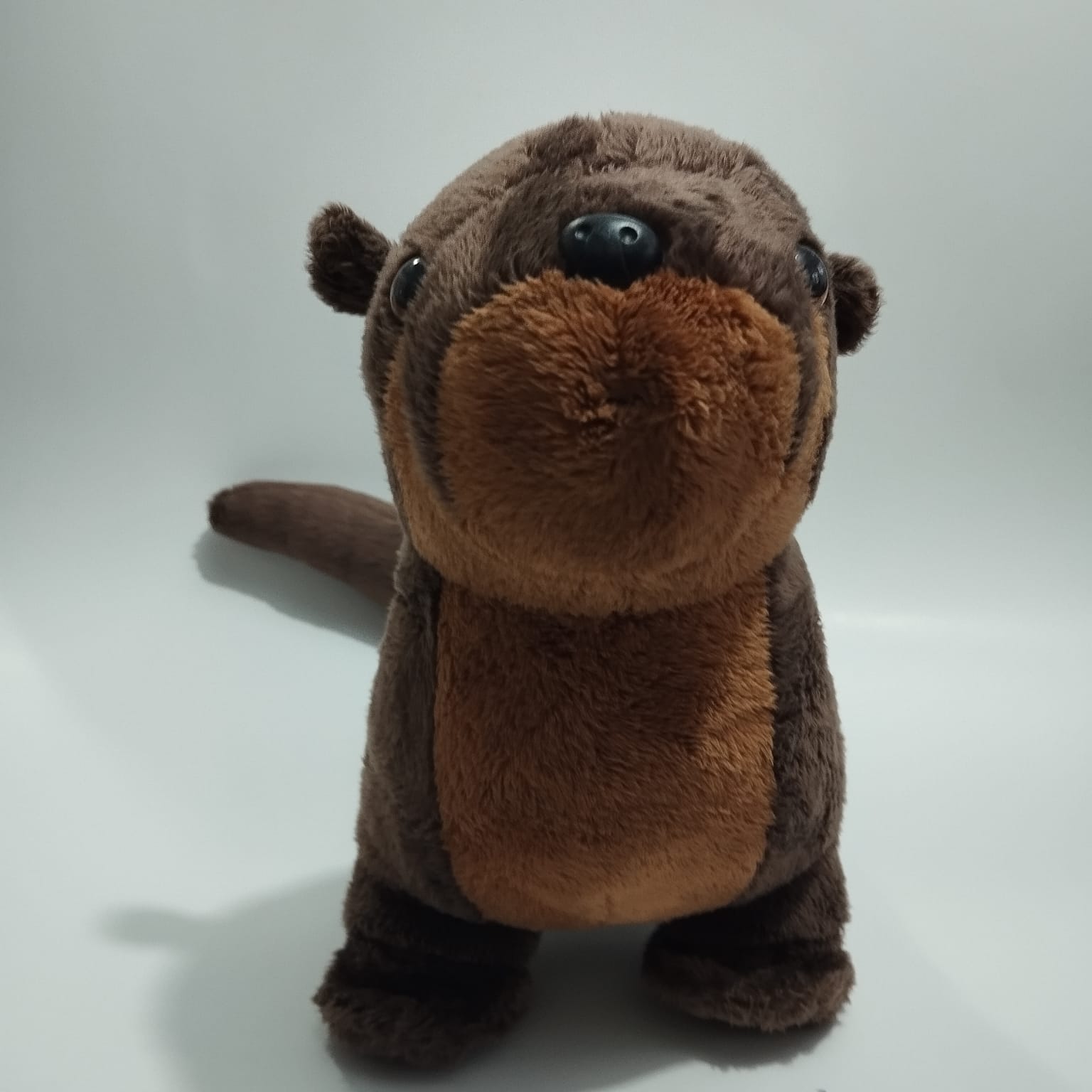 WhatsApp Image 2024-02-09 at 11.44.26.jpeg