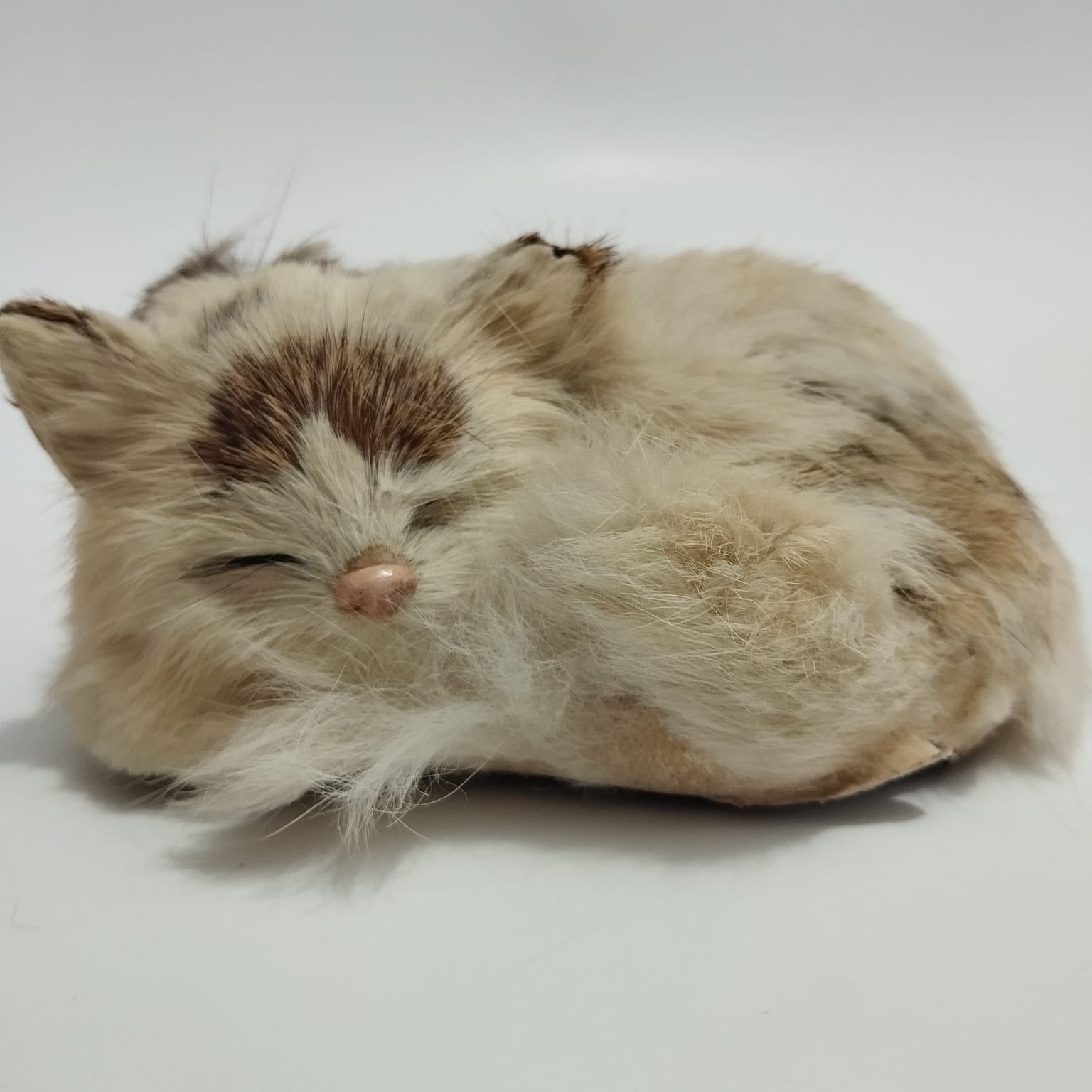 WhatsApp Image 2024-02-08 at 16.02.21 (1).jpeg