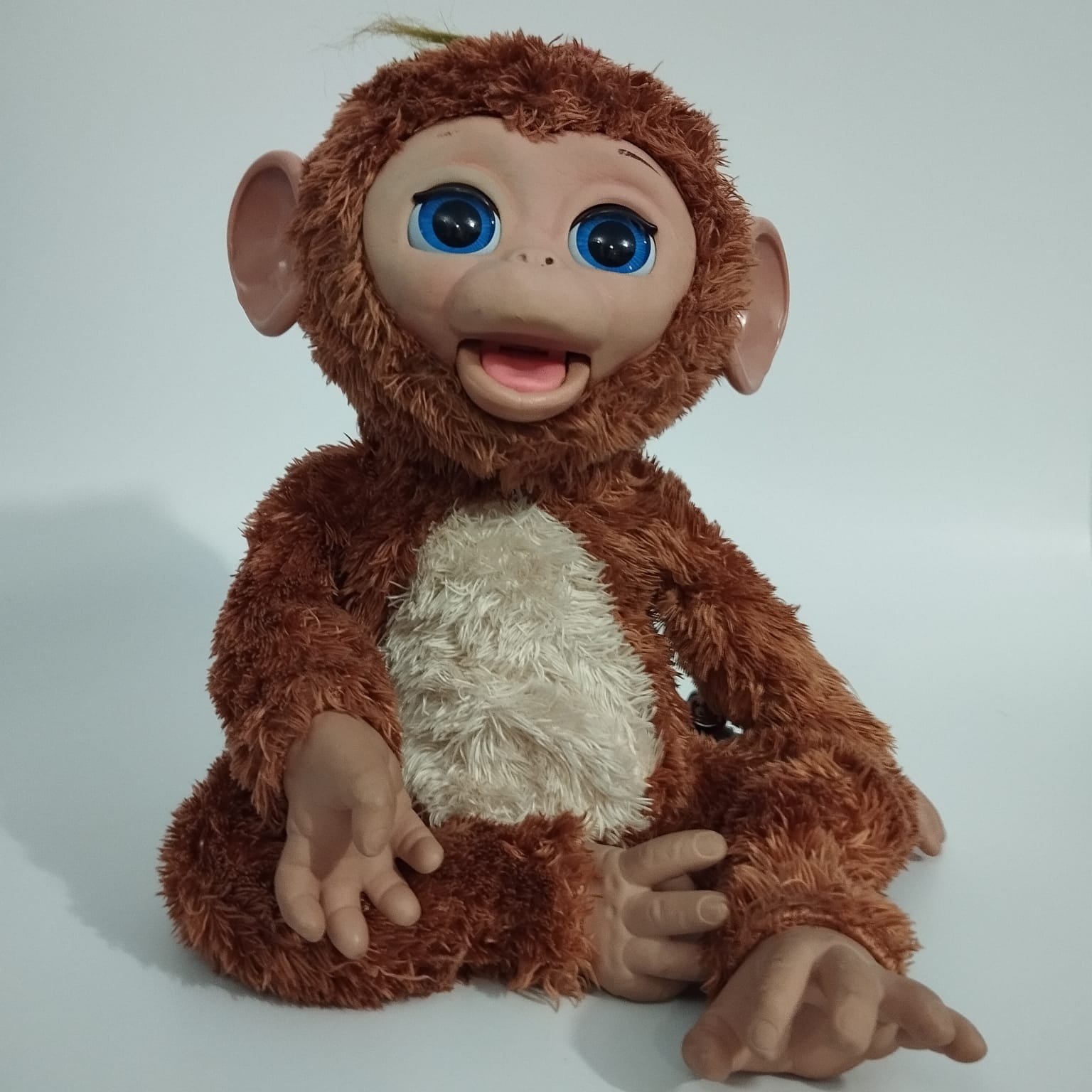 WhatsApp Image 2024-02-12 at 17.28.50 (2).jpeg