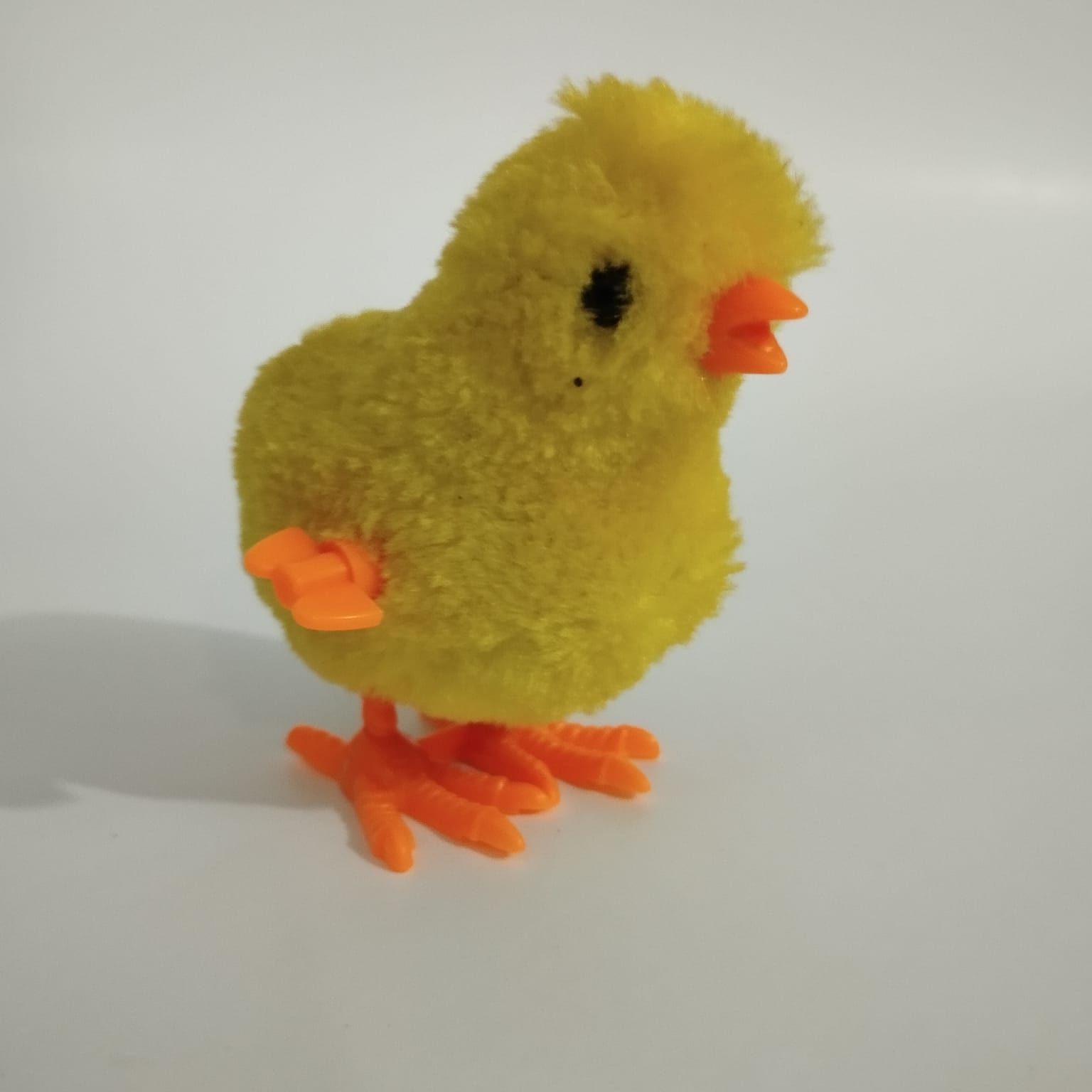 WhatsApp Image 2024-02-12 at 17.36.06 (1).jpeg