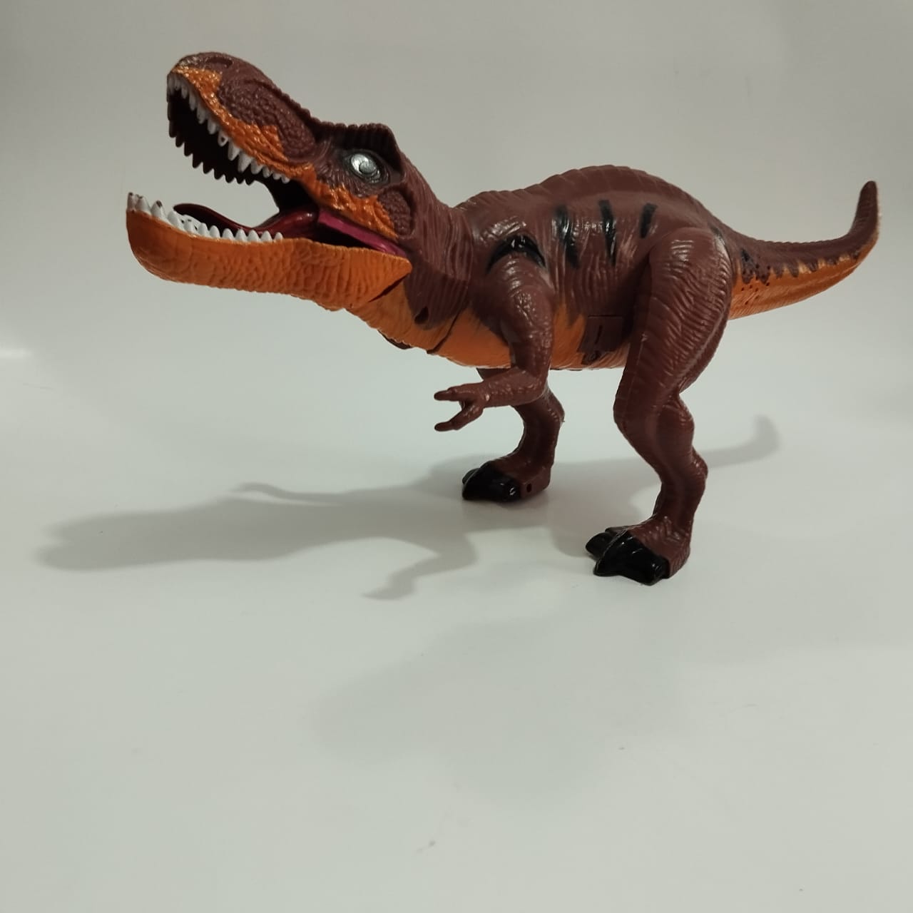 WhatsApp Image 2024-02-08 at 13.11.47.jpeg