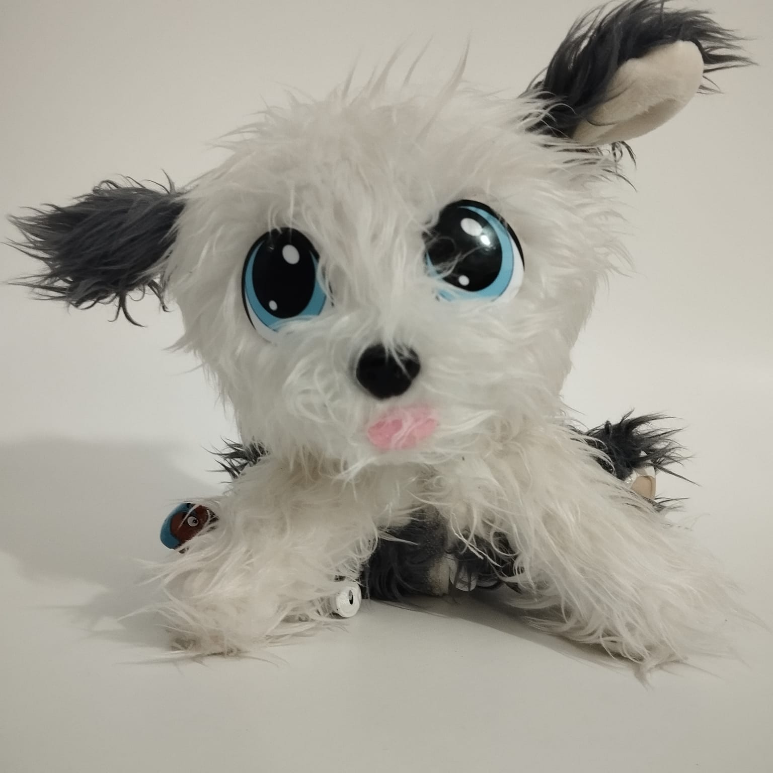 WhatsApp Image 2024-02-12 at 17.36.07.jpeg